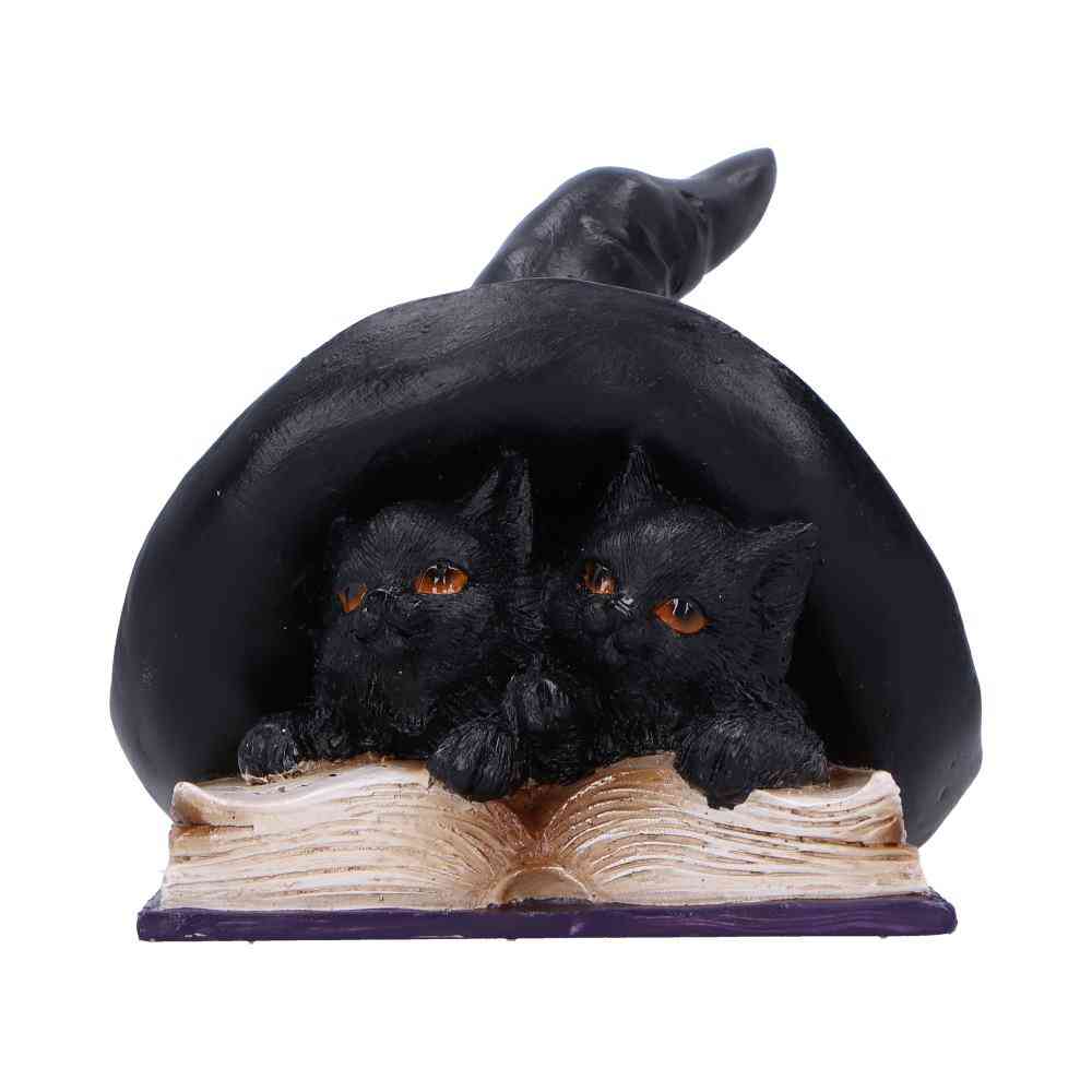 Nemesis Now - Potion Pair Beeld/figuur - Kat - Multicolours